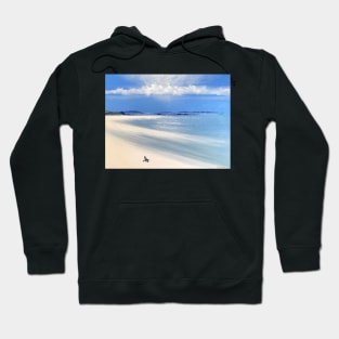 Apple tree bay oyster catcher Tresco Hoodie